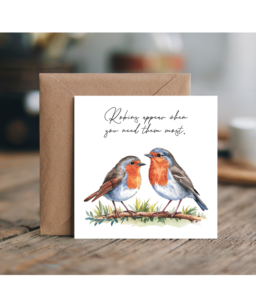 Sympathy Robins appear when you need them most