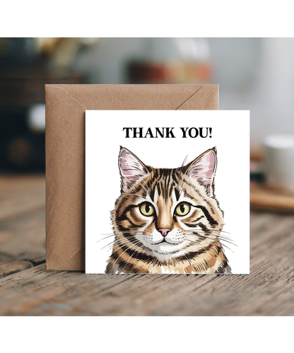 Thank you tabby cat