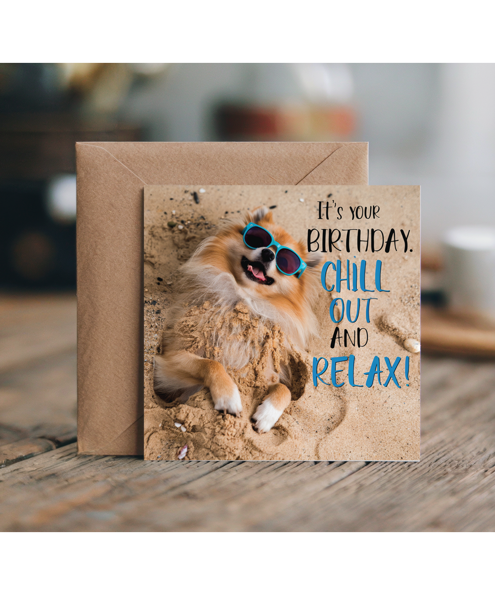 pomeranian it's your birthday chill out and relax