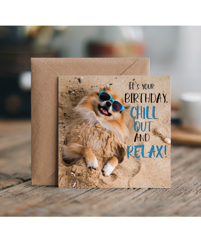 pomeranian it's your birthday chill out and relax