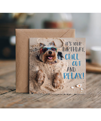 yorkshire terrier it's your birthday chill out and relax