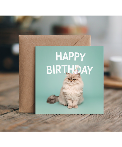 Birthday Card Cute Cat kitten