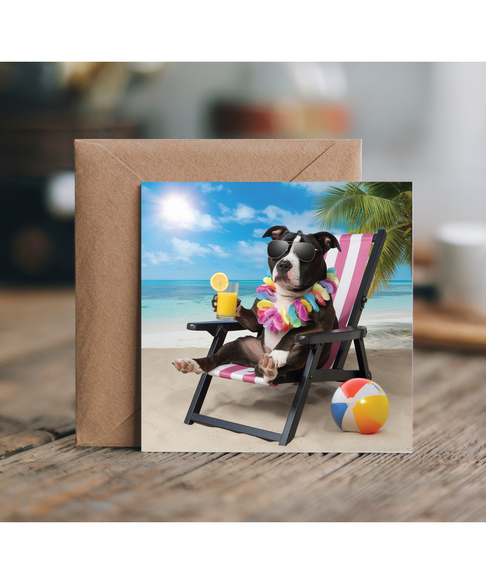staffordshire bull terrier on the beach