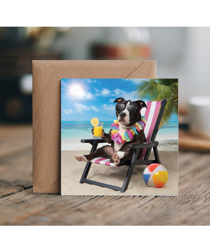 staffordshire bull terrier on the beach