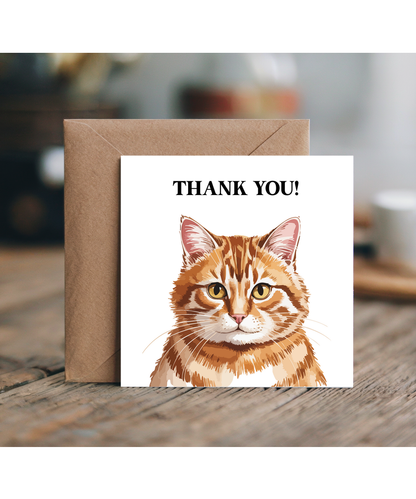 Thank you orange cat