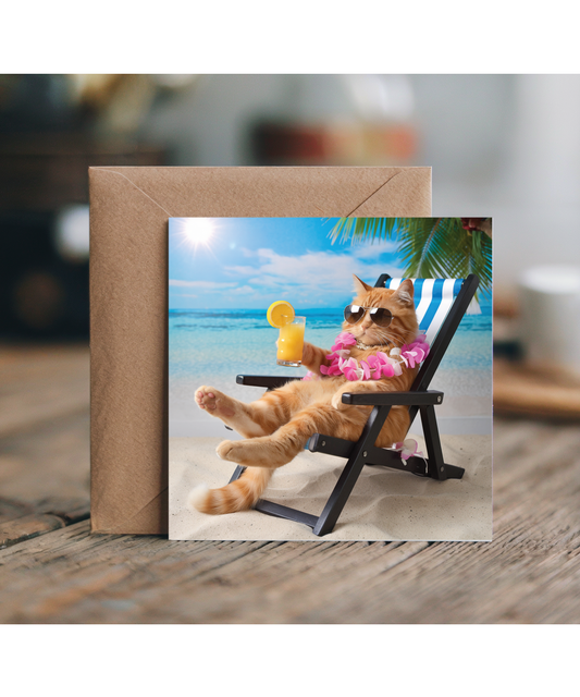 Ginger cat on the beach