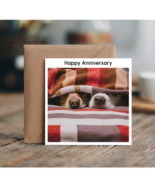 happy anniversary Two dogs peeking
