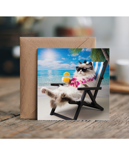 ragdoll cat on the beach
