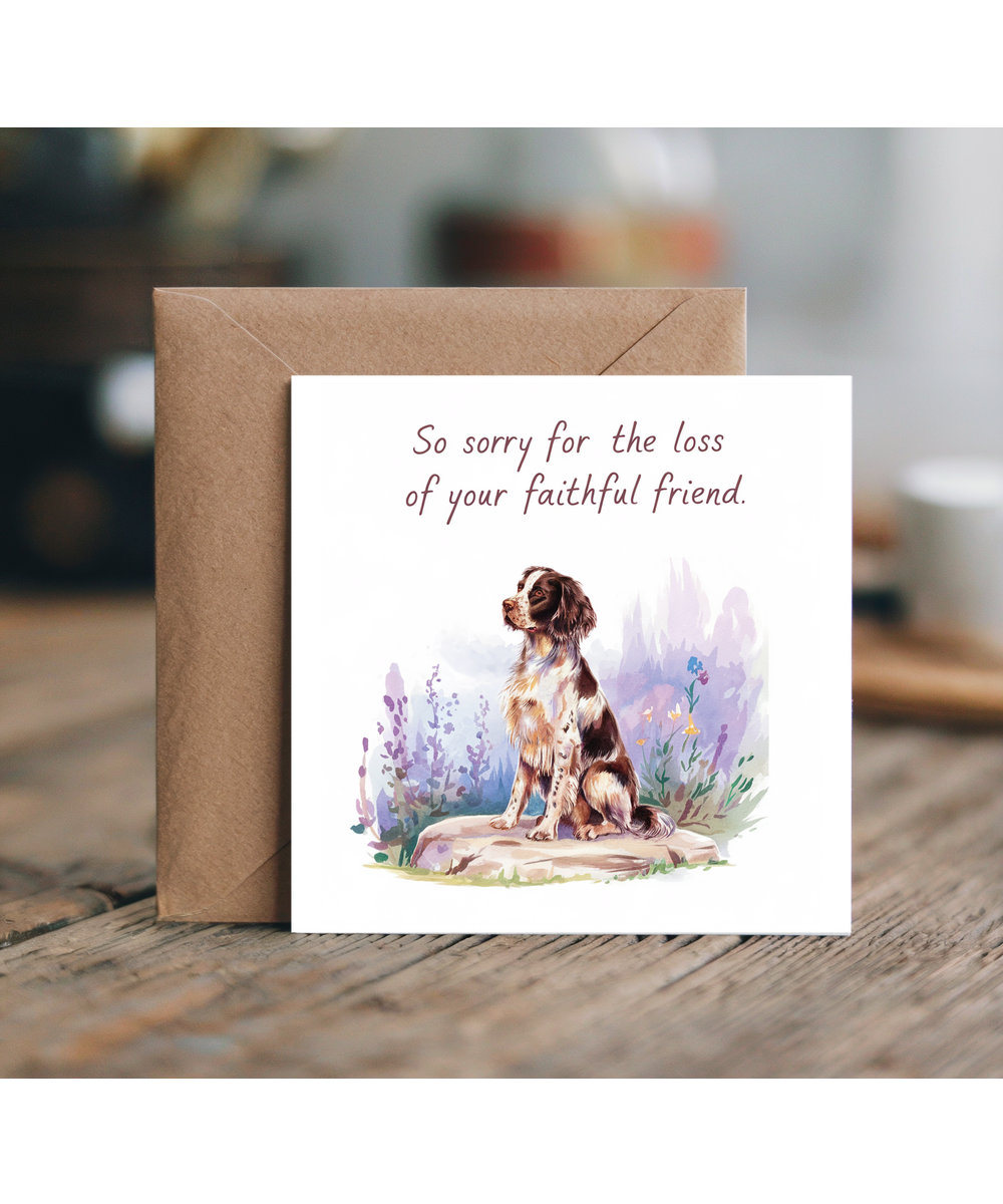 Sympathy Card for the Loss of a Pet Dog Faithful Friend English Springer Spaniel