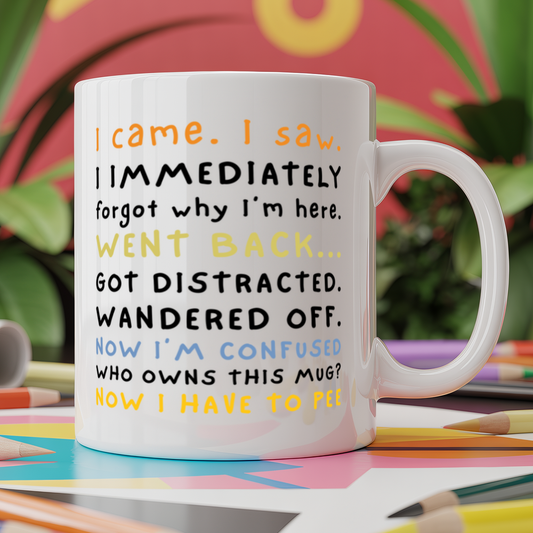 I came, I saw, I Forgot, went back, got distracted