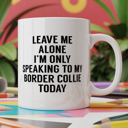 Leave me alone I'm only speaking to my border collie today - dog