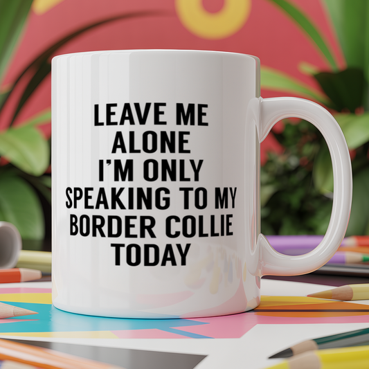 Leave me alone I'm only speaking to my border collie today - dog