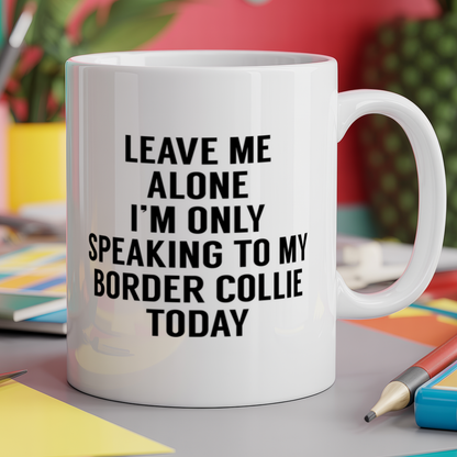 Leave me alone I'm only speaking to my border collie today - dog