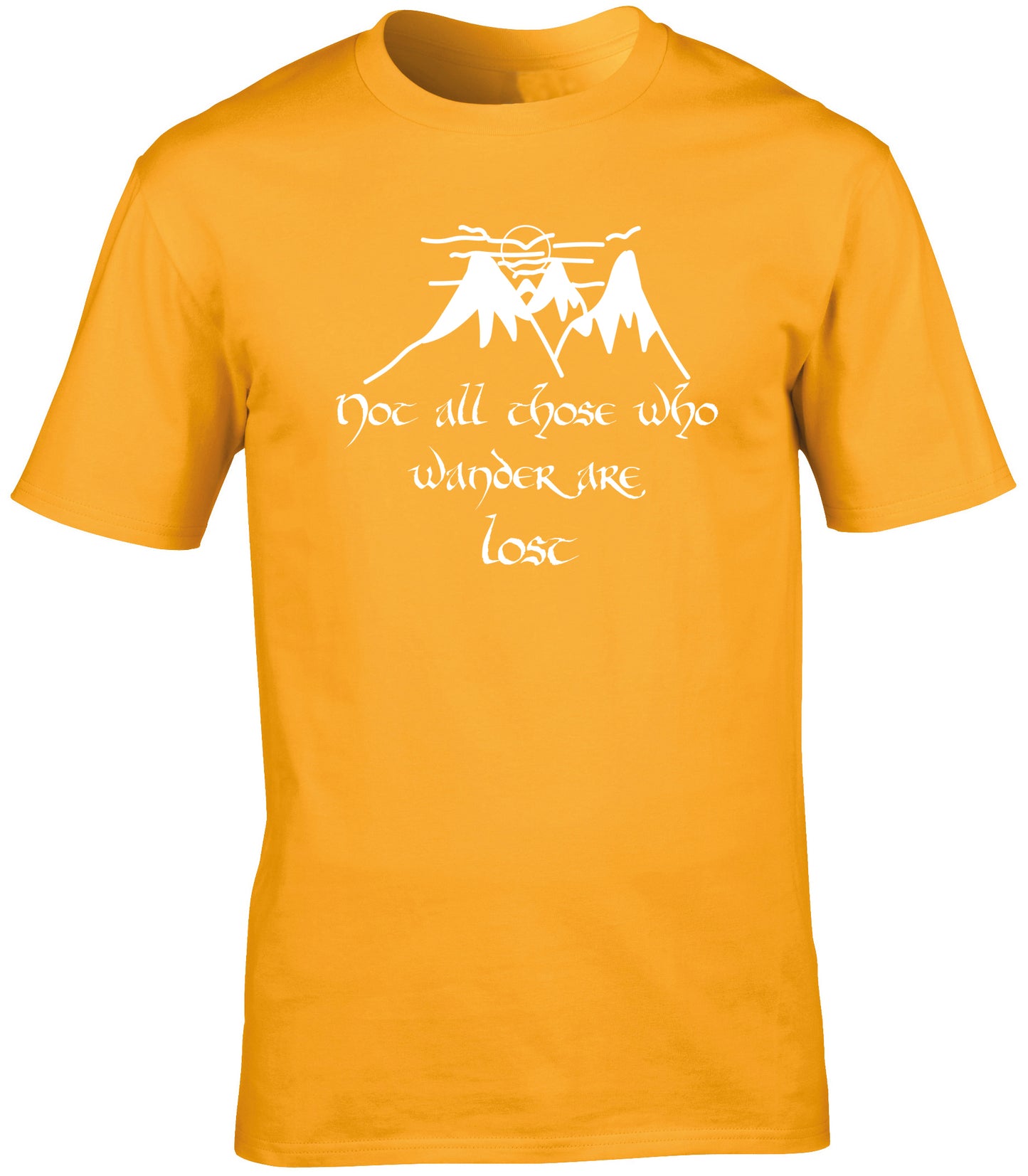 Not All Those Who Wander Are Lost Quote unisex t-shirt